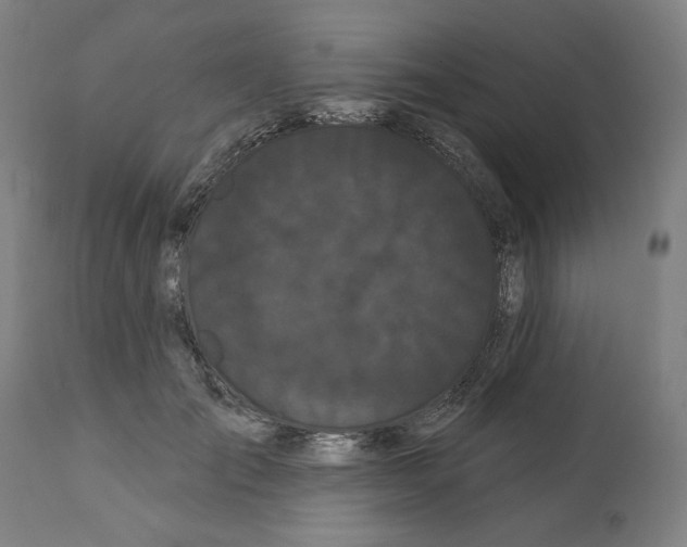 X0000112360701200909241126