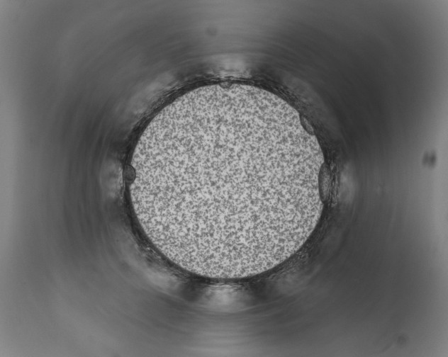 X0000112360704200909241126