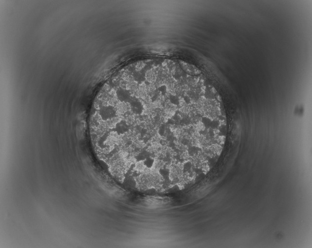 X0000112360707200909241126