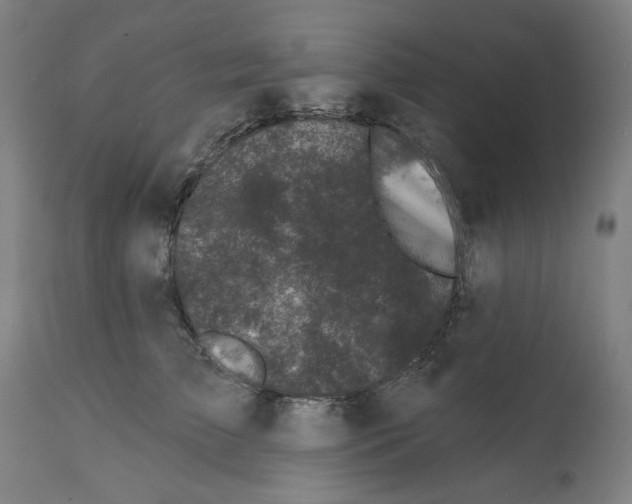 X0000112360709200909241126
