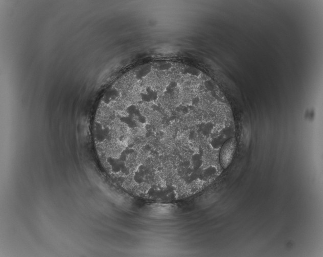 X0000112360711200909241126