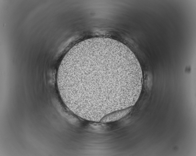 X0000112360712200909241126