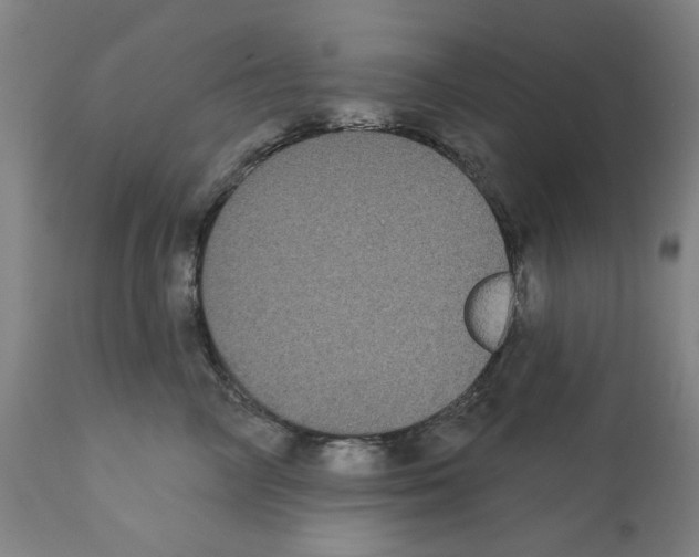 X0000112360714200909241126