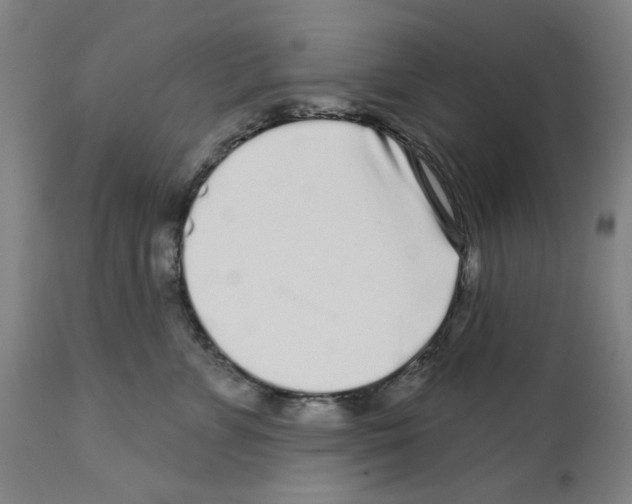 X0000112360715200909241126