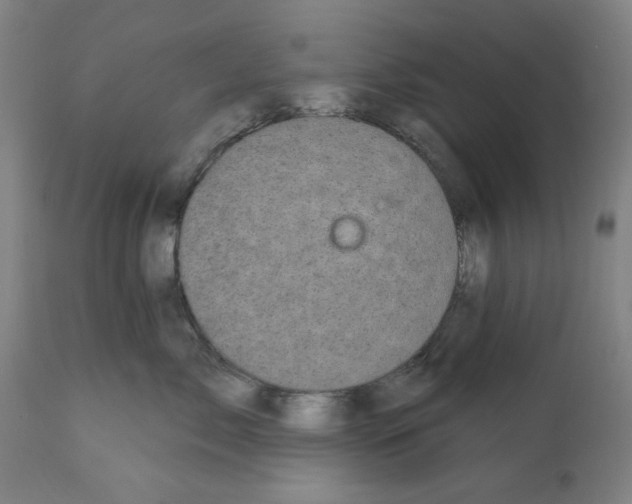 X0000112360717200909241126