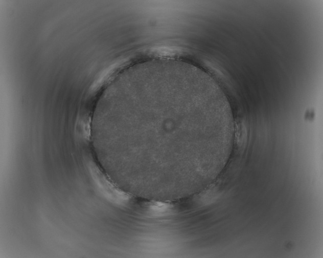X0000112360718200909241126