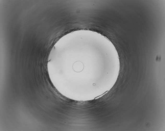 X0000112360720200909241126