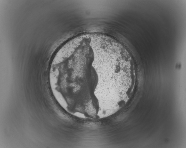X0000112360721200909241125