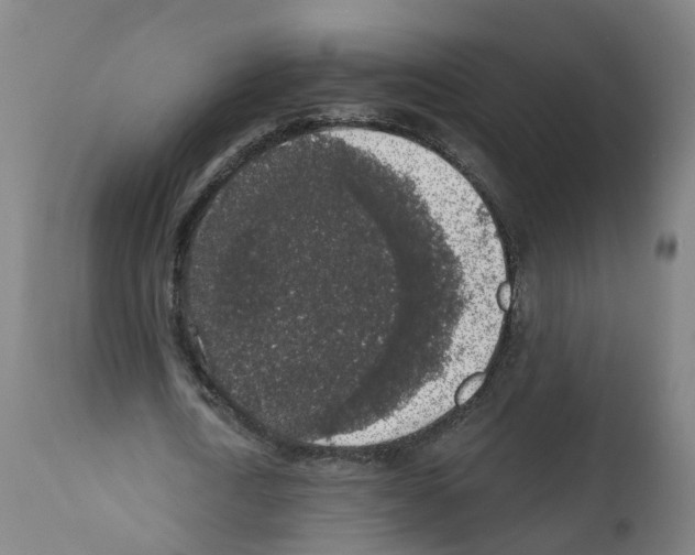 X0000112360722200909241125