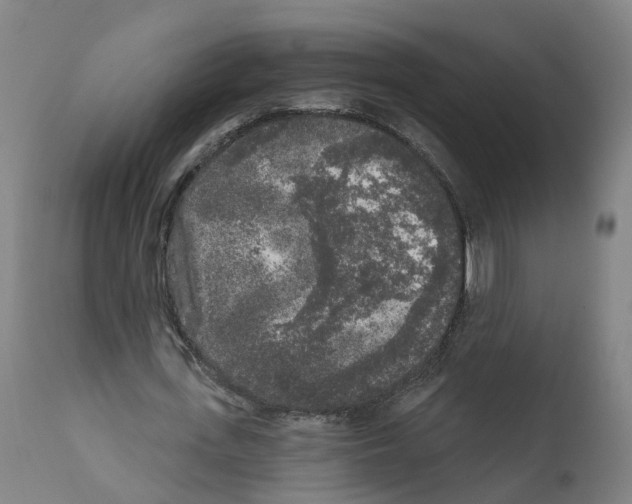 X0000112360723200909241125