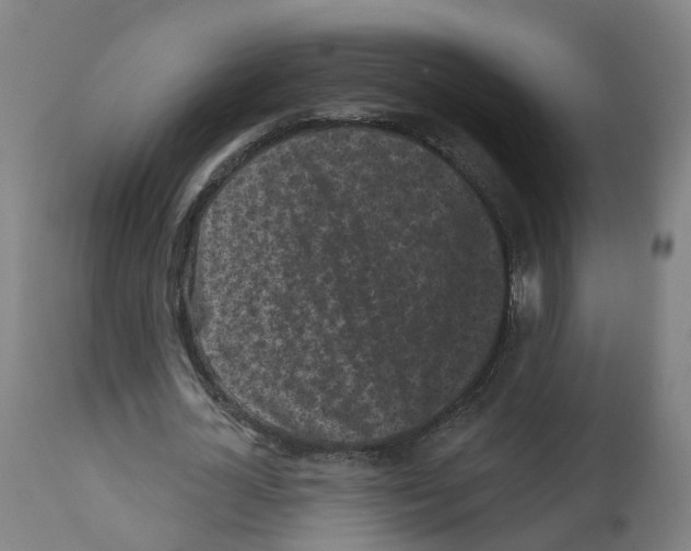 X0000112360724200909241125