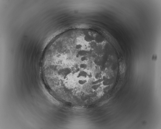 X0000112360725200909241125