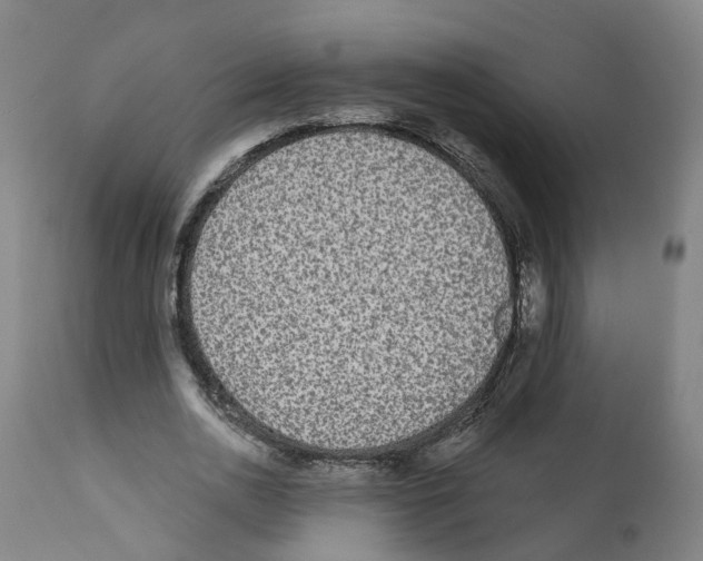 X0000112360726200909241125