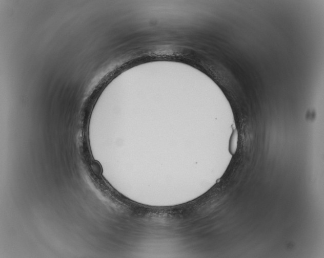 X0000112360728200909241125