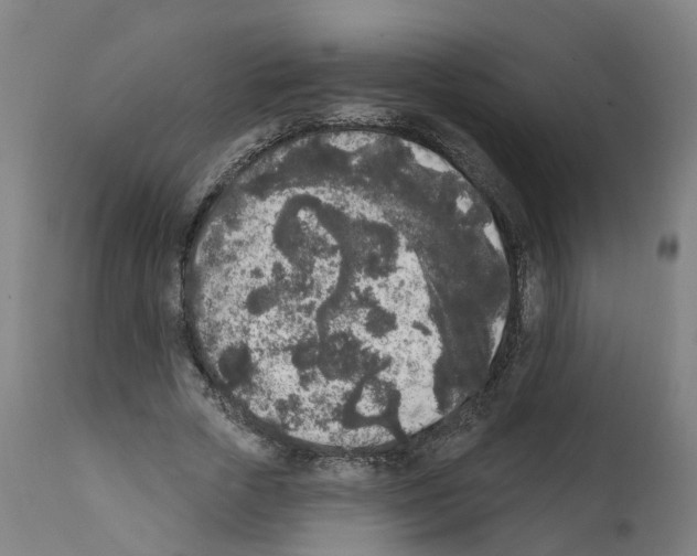 X0000112360729200909241125