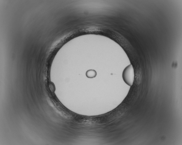 X0000112360732200909241125