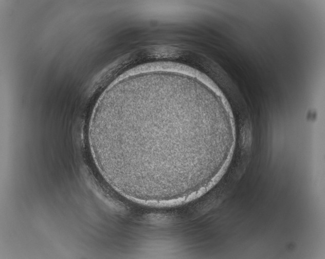 X0000112360733200909241125