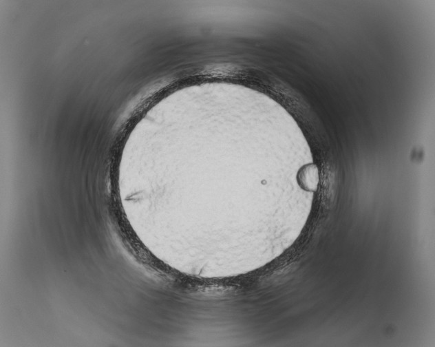 X0000112360734200909241125