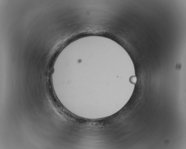 X0000112360736200909241125