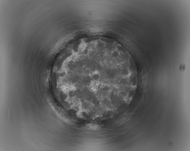 X0000112360742200909241125