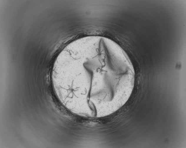 X0000112360743200909241125