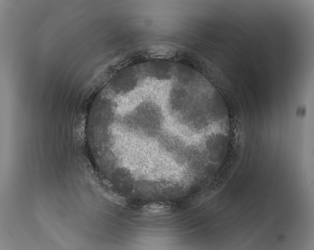X0000112360745200909241125