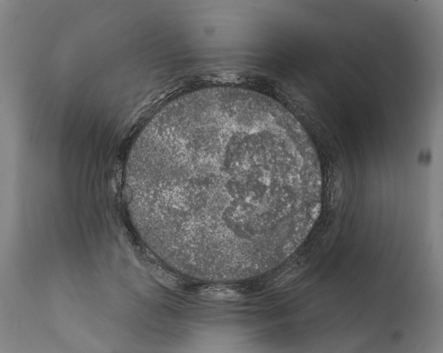X0000112360747200909241125