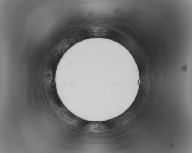 X0000112360752200909241125