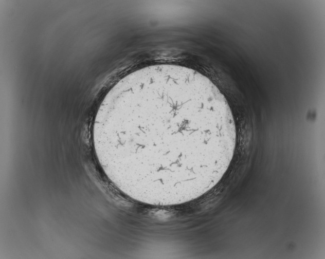 X0000112360755200909241126
