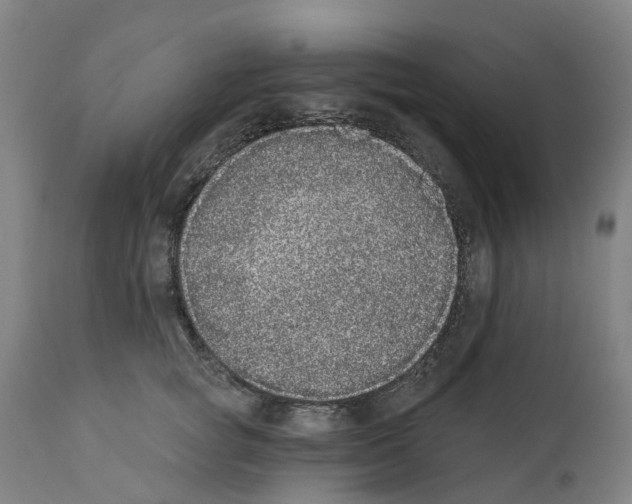 X0000112360757200909241126