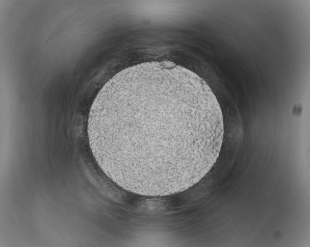 X0000112360758200909241126