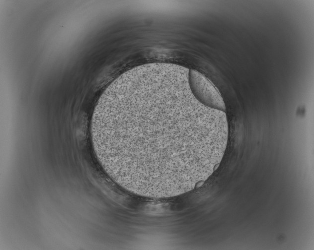 X0000112360760200909241126