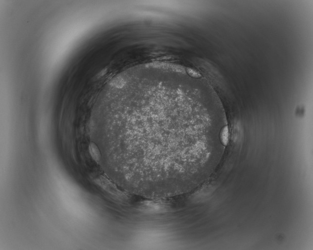 X0000112360763200909241126