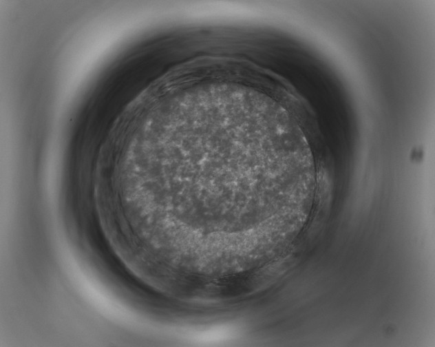 X0000112360765200909241126