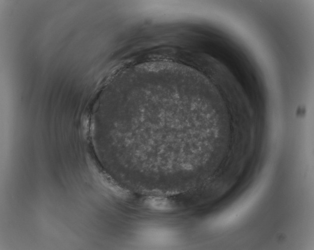 X0000112360767200909241126