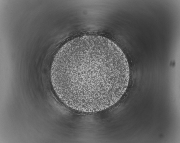 X0000112360769200909241125
