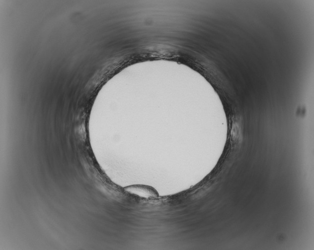 X0000112360771200909241125