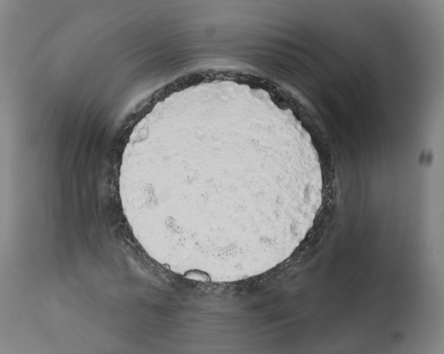 X0000112360775200909241125