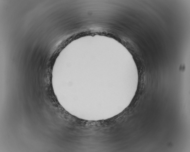 X0000112360776200909241125