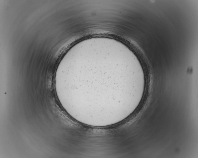 X0000112360777200909241125