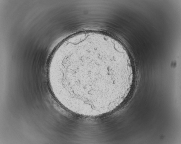 X0000112360779200909241125