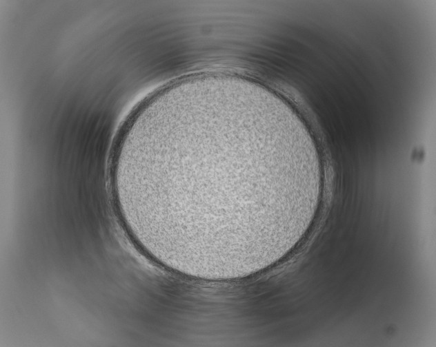 X0000112360780200909241125