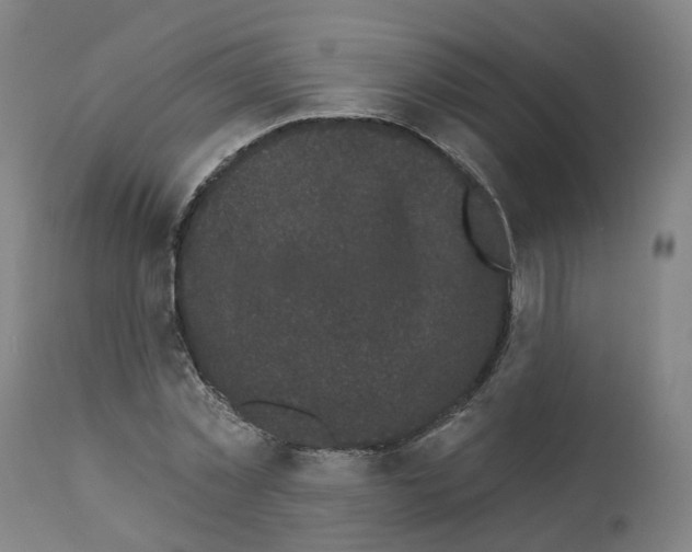 X0000112360781200909241125