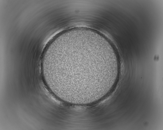 X0000112360782200909241125