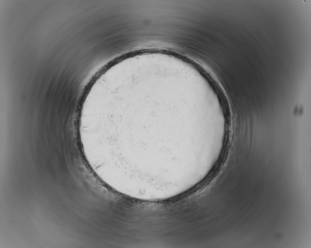 X0000112360783200909241125