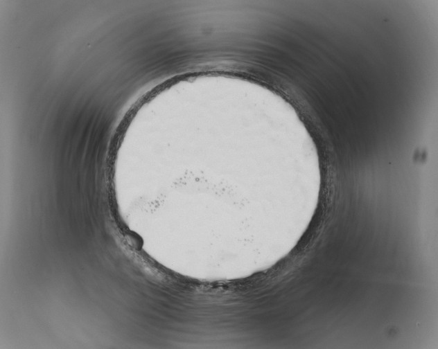 X0000112360784200909241125