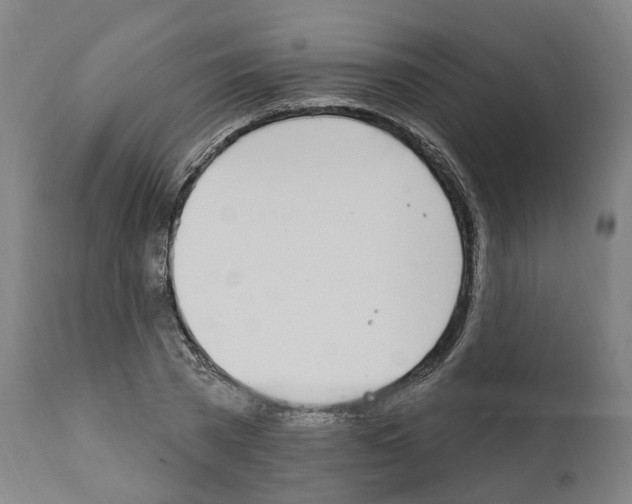 X0000112360785200909241125