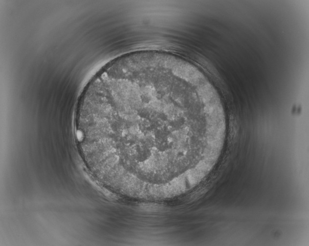 X0000112360788200909241125