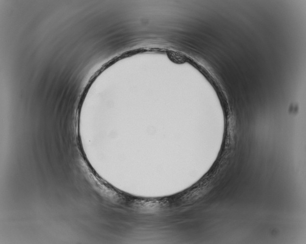 X0000112360791200909241125