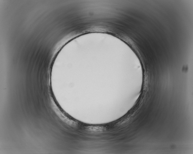 X0000112360795200909241124